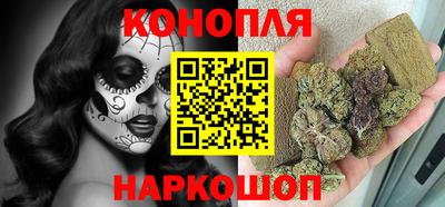 наркотики Новозыбков