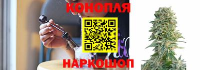 наркотики Новозыбков
