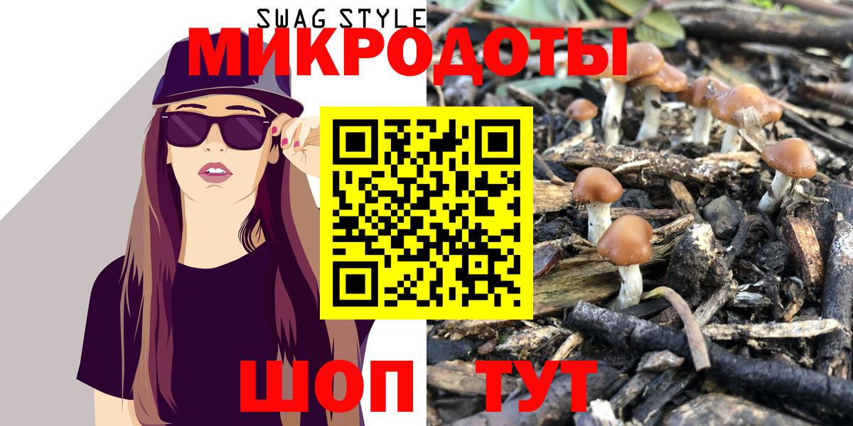 Псилоцибиновые грибы Psilocybine cubensis Славянск-на-Кубани